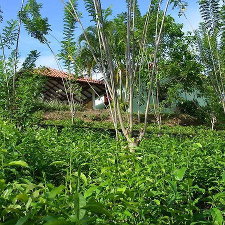 Oriole Villas Bentota Dış mekan fotoğraf
