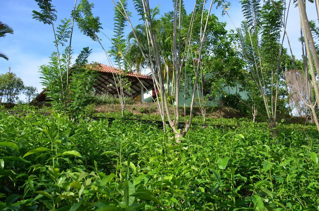 Oriole Villas Bentota Dış mekan fotoğraf