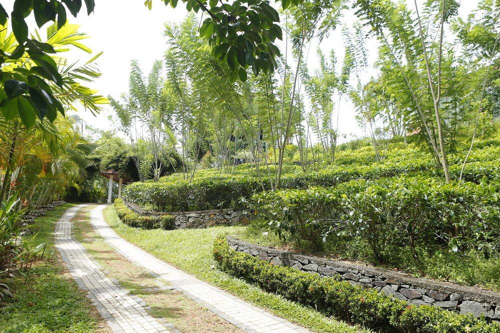 Oriole Villas Bentota Dış mekan fotoğraf